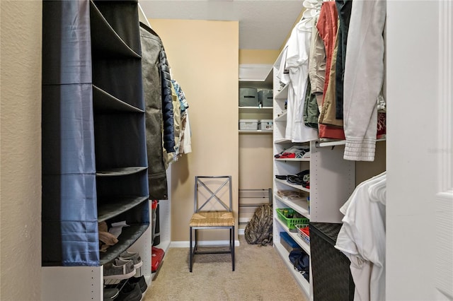 spacious closet featuring carpet floors