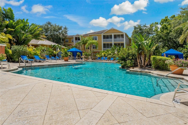 view of pool featuring a patio