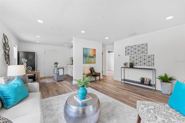 living room with light wood-type flooring