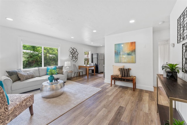 living room with light wood-type flooring