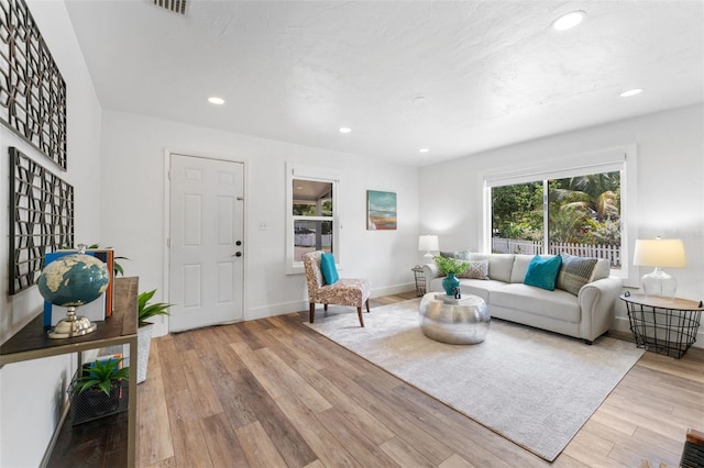 living room featuring light hardwood / wood-style flooring