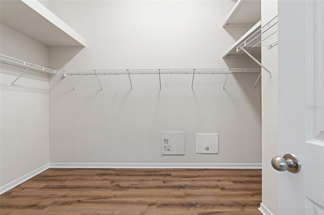 spacious closet with hardwood / wood-style flooring