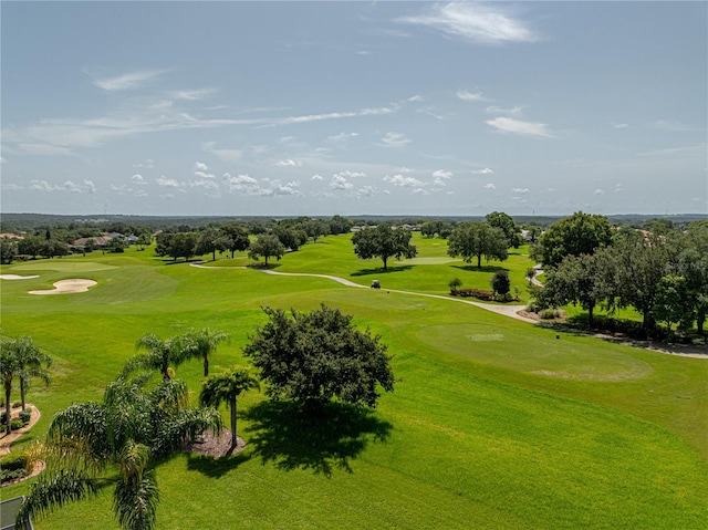 view of property's community with a yard