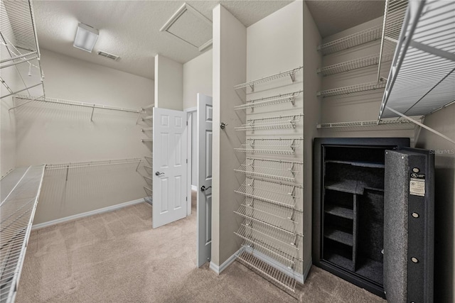 spacious closet featuring carpet floors