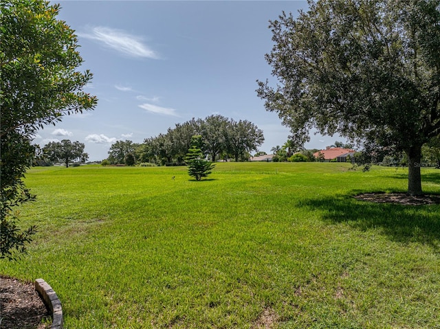 view of yard featuring a rural view