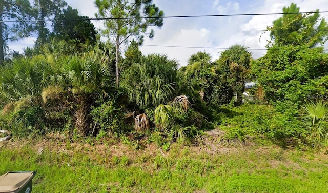 Boca Chica Ave, North Port FL, 34286 land for sale