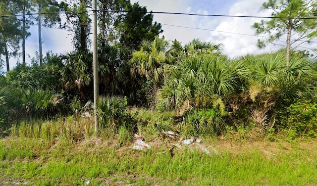 Listing photo 2 for Boca Chica Ave, North Port FL 34286