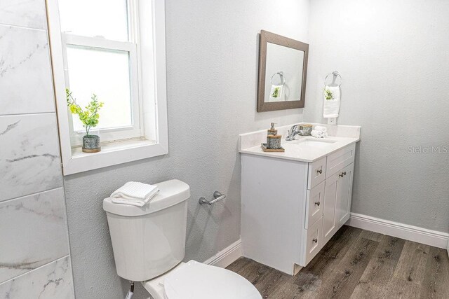 bathroom with vanity, wood-type flooring, and toilet