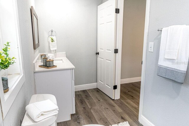 bathroom featuring wood-type flooring and vanity