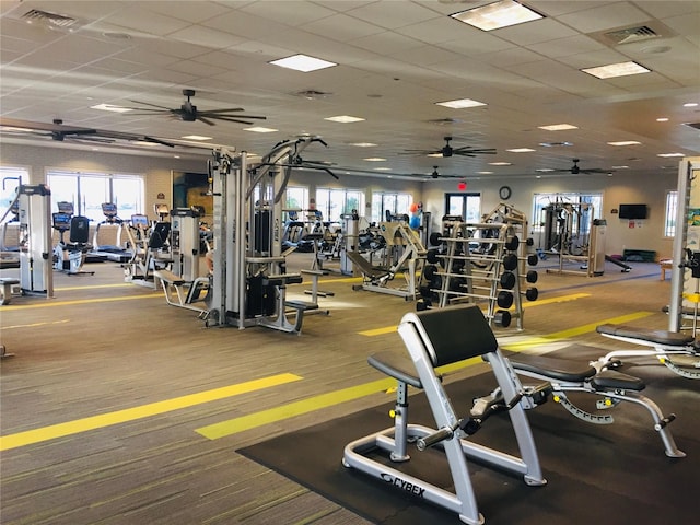 workout area with a paneled ceiling, ceiling fan, and plenty of natural light