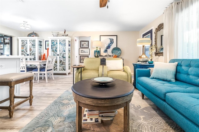 living room featuring hardwood / wood-style floors