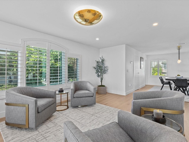 living room with light hardwood / wood-style flooring