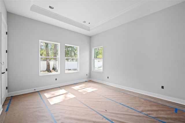 empty room with a tray ceiling