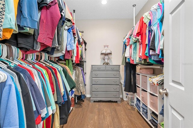 spacious closet with hardwood / wood-style flooring