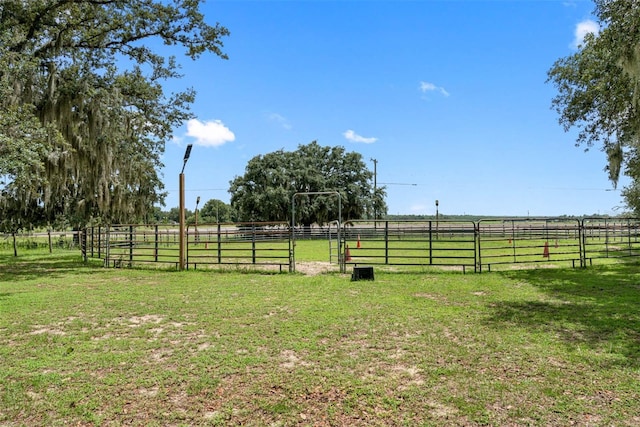 view of yard with a rural view