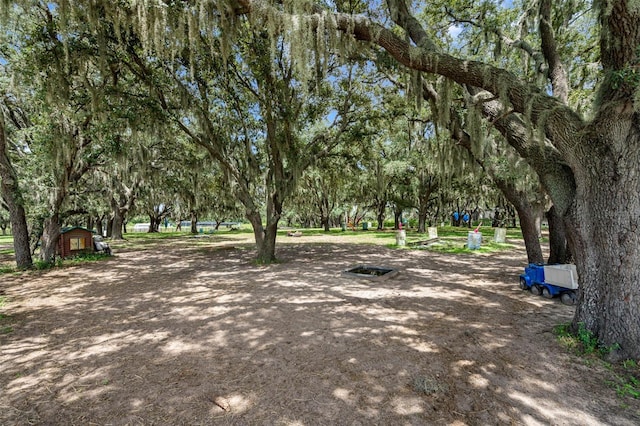 8602 State Road 674, Wimauma, FL 33598 - photo 52