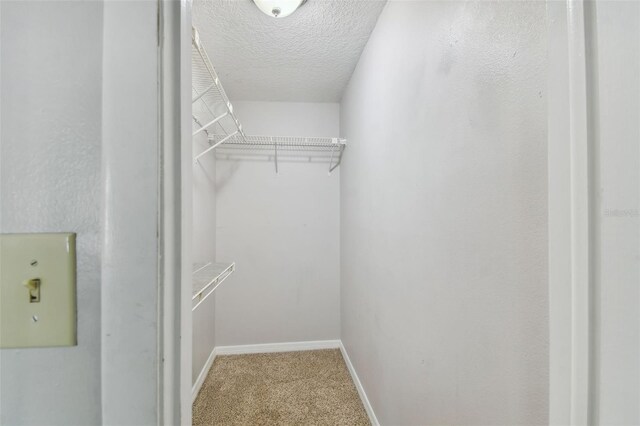 walk in closet featuring carpet