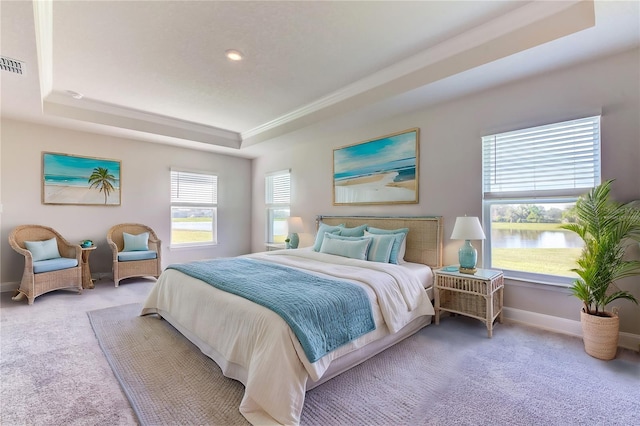 bedroom with a tray ceiling, multiple windows, and carpet