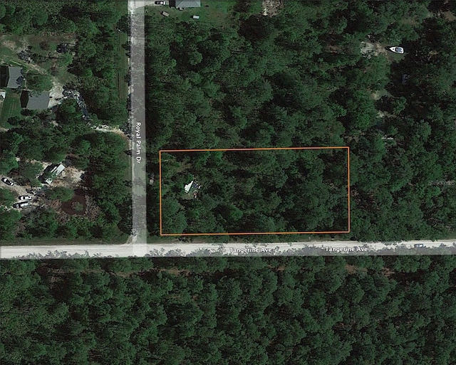 Listing photo 3 for 2953 Royal Palm Dr, Bunnell FL 32110