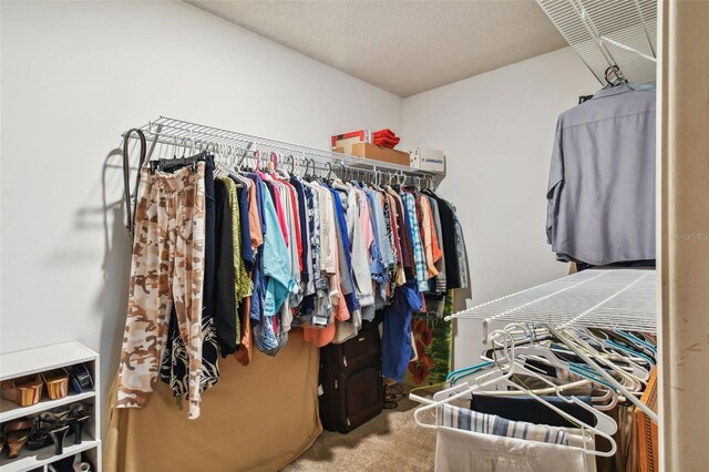 spacious closet featuring carpet flooring