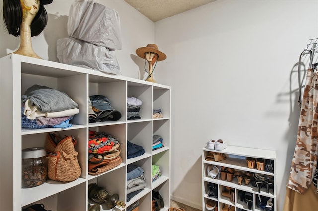 view of walk in closet