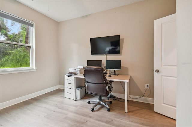 home office featuring a healthy amount of sunlight and light hardwood / wood-style flooring