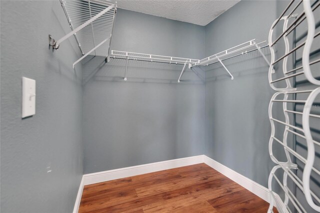 walk in closet featuring wood-type flooring