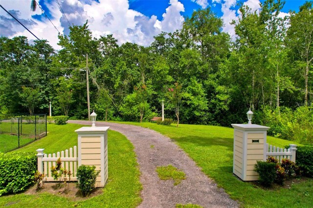 view of home's community with a lawn