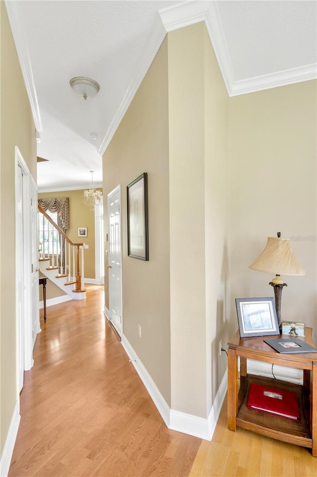 hallway with crown molding, a chandelier, and light hardwood / wood-style floors