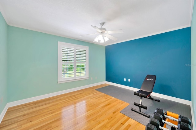 workout area with crown molding, ceiling fan, and hardwood / wood-style floors