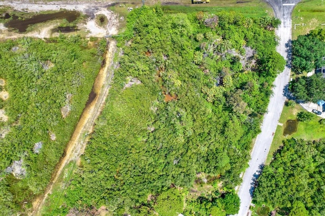 Osceola Ct NE, Saint Petersburg, FL 33702 - photo 10