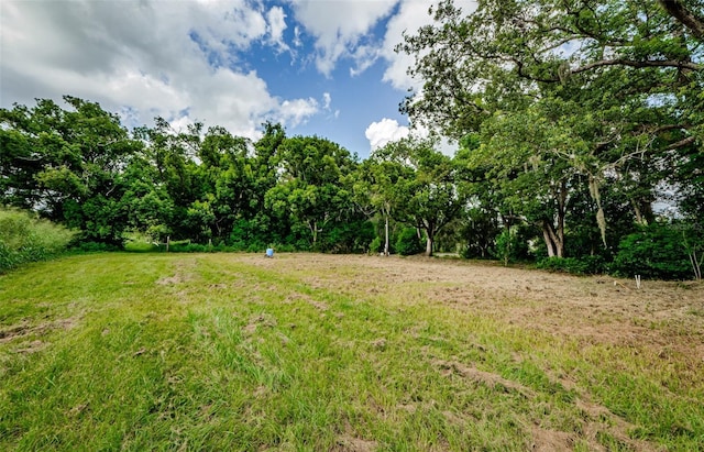 909 Grandaddy Ln, Lutz FL, 33548 land for sale