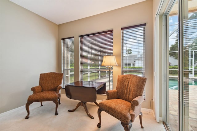 sitting room with light colored carpet and a wealth of natural light