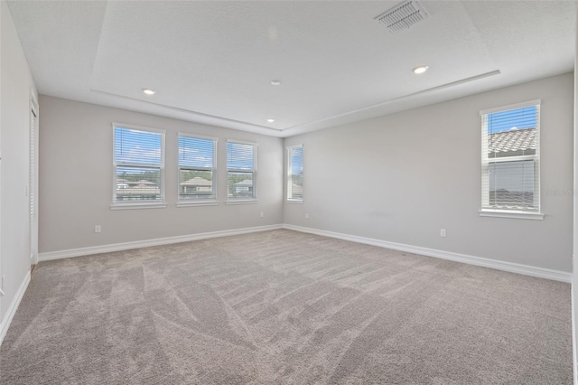 carpeted spare room featuring a wealth of natural light