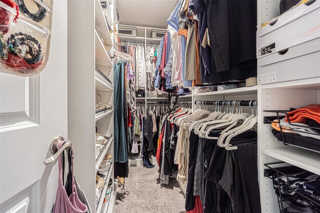 spacious closet featuring carpet