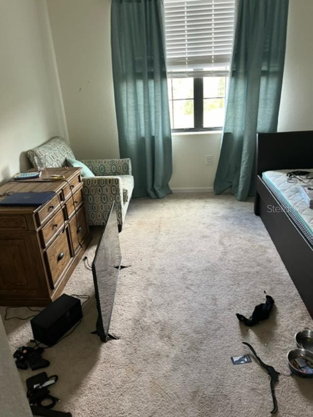 bedroom featuring light colored carpet