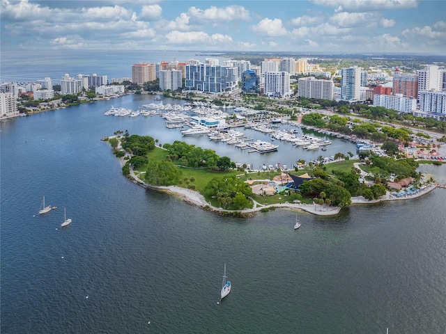 bird's eye view with a water view