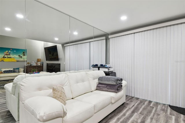 living room featuring wood-type flooring