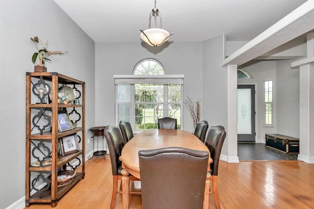 dining space with hardwood / wood-style flooring