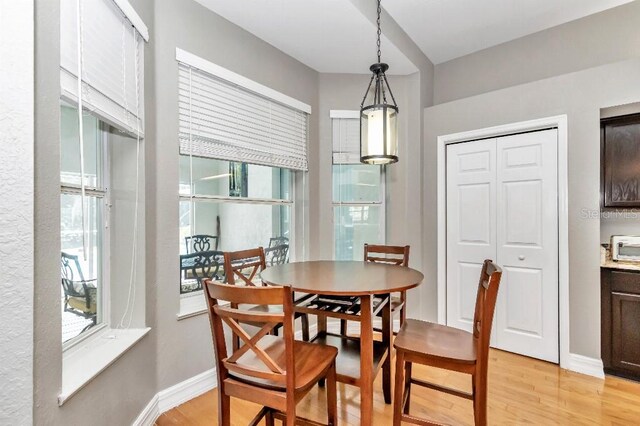 dining room featuring light wood-type flooring