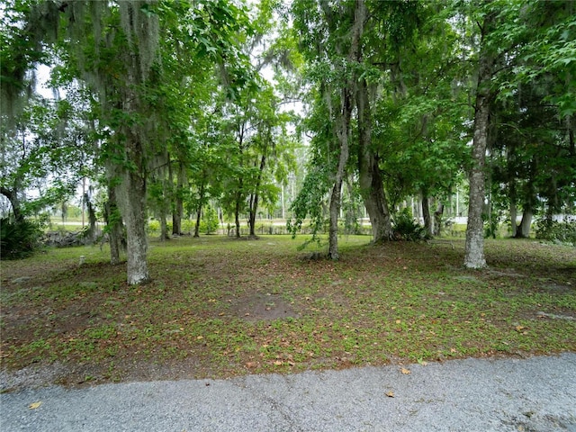 LOT56BLKC Lexington Dr, Wildwood FL, 34785 land for sale