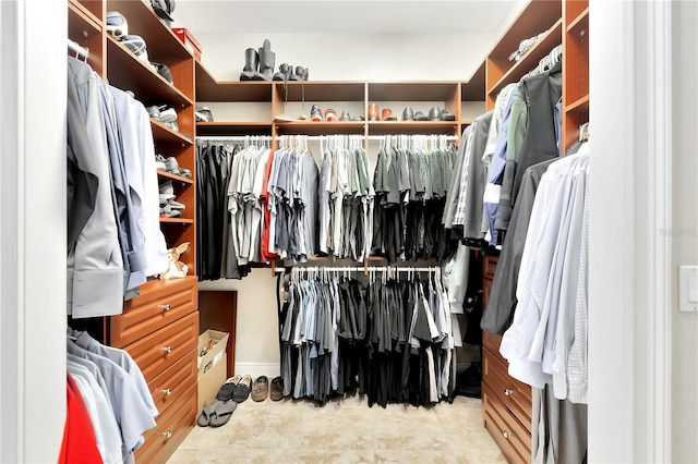 view of spacious closet