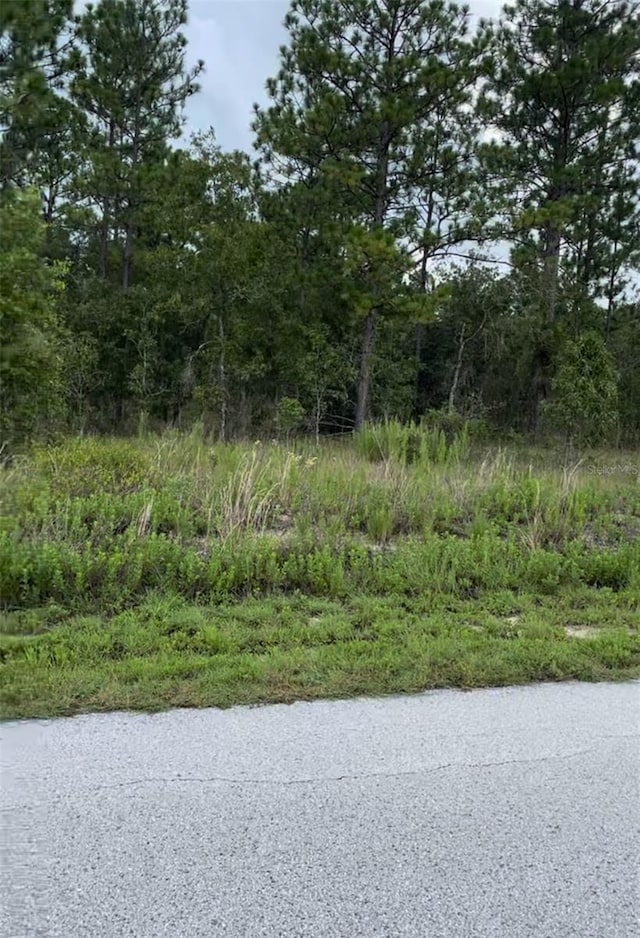 Tbd, Dunnellon FL, 34431 land for sale