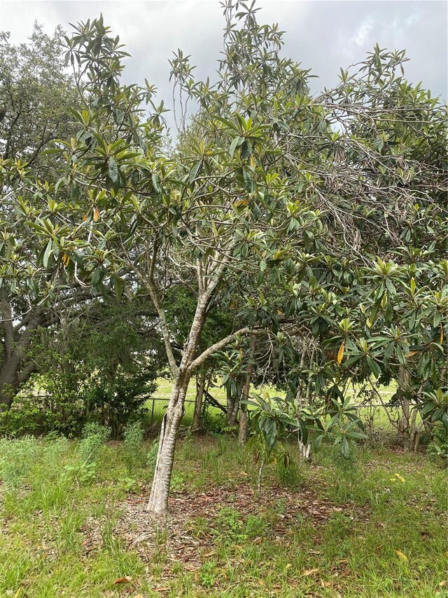 33255 State Road 70 E, Myakka City, FL 34251 - photo 25