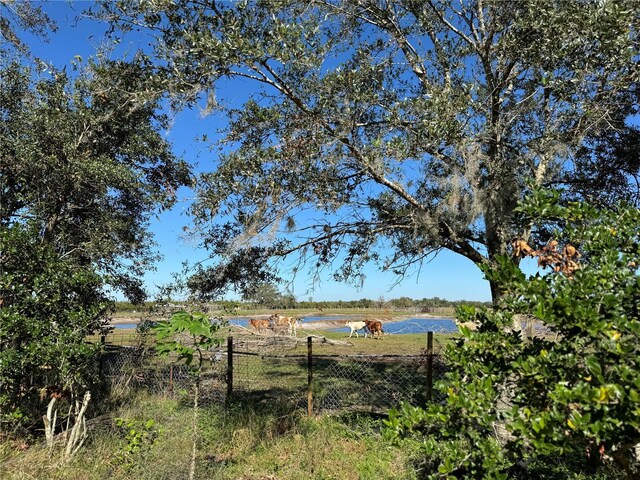 33255 State Road 70 E, Myakka City, FL 34251 - photo 94