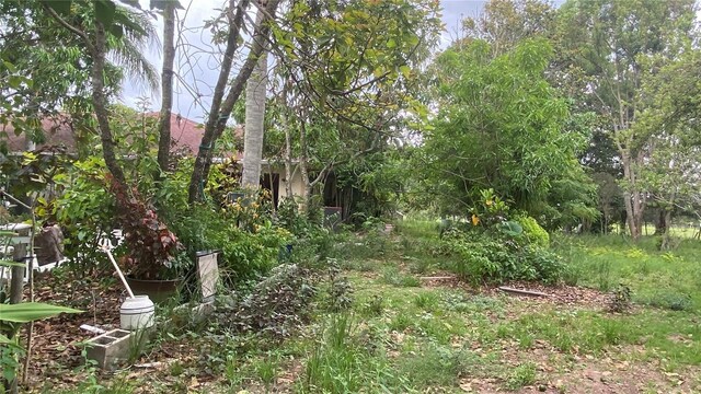 33255 State Road 70 E, Myakka City, FL 34251 - photo 26