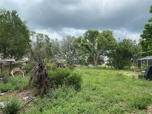 33255 State Road 70 E, Myakka City, FL 34251 - photo 28