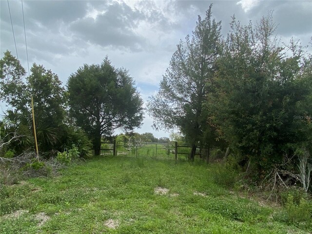 33255 State Road 70 E, Myakka City, FL 34251 - photo 31