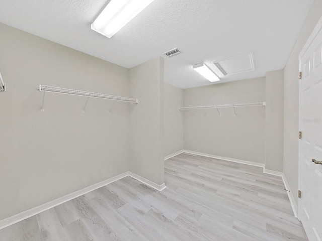 spacious closet with light wood-type flooring