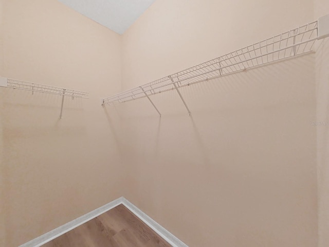 walk in closet featuring wood-type flooring